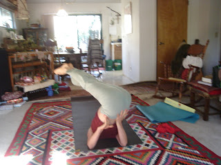 marlie yoga