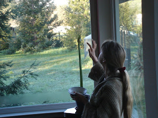 marlie at window