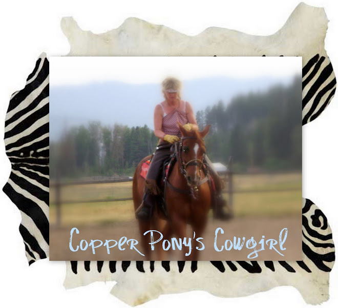 copperponyscowgirl.blogspot./