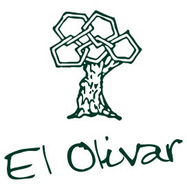 OLISPORT
