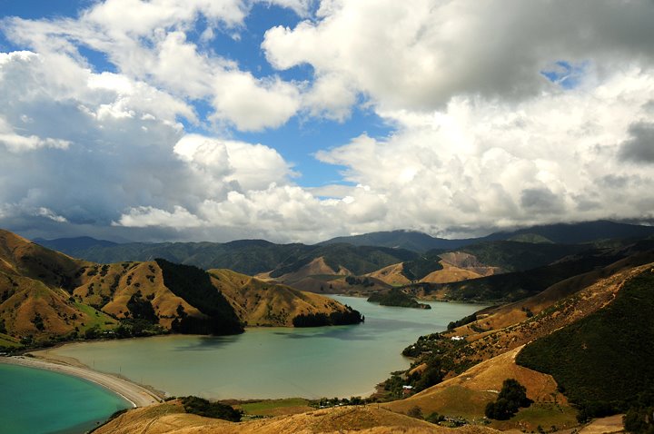 [Cable©NicoleBarker.jpg]