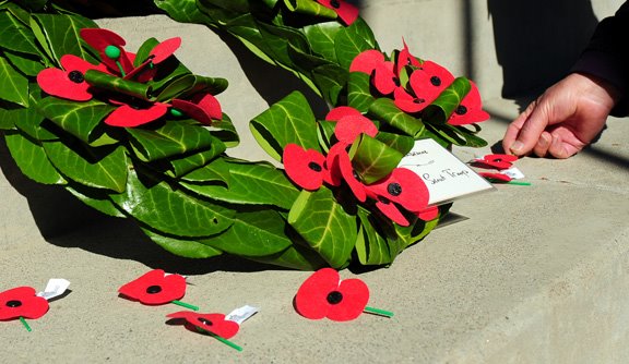 [poppies©NicoleBarker.jpg]