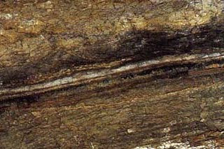 Claramente visible, la línea blanca es la capa de arcilla de Iridio descubierta por Walter y Luis Álvarez