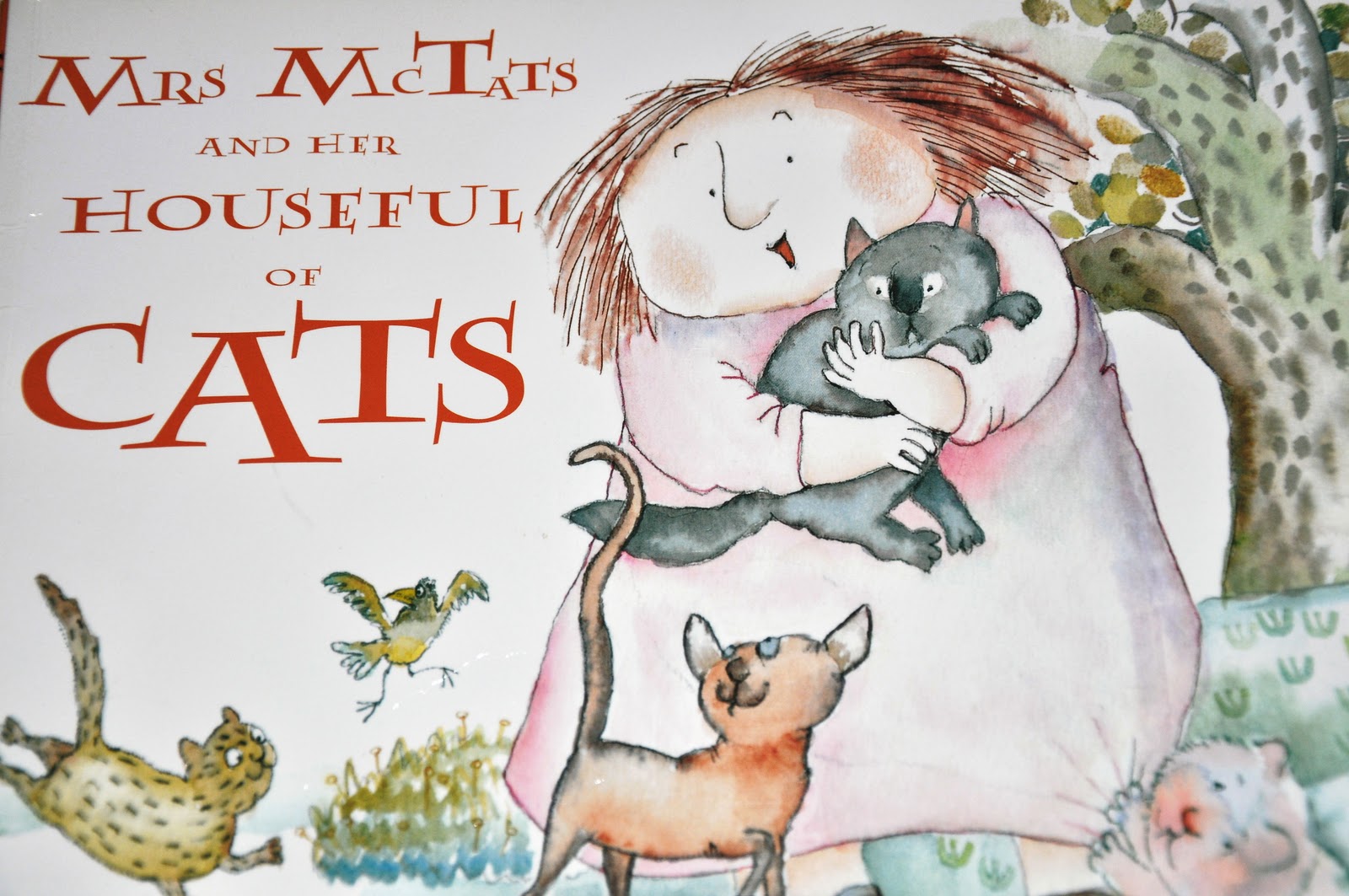 Cats, Dogs and Eiderdowns Childrens Books with Cats