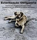 esterilização obrigatória