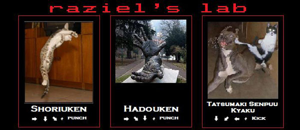 ..::Raziel's Laboratory::..