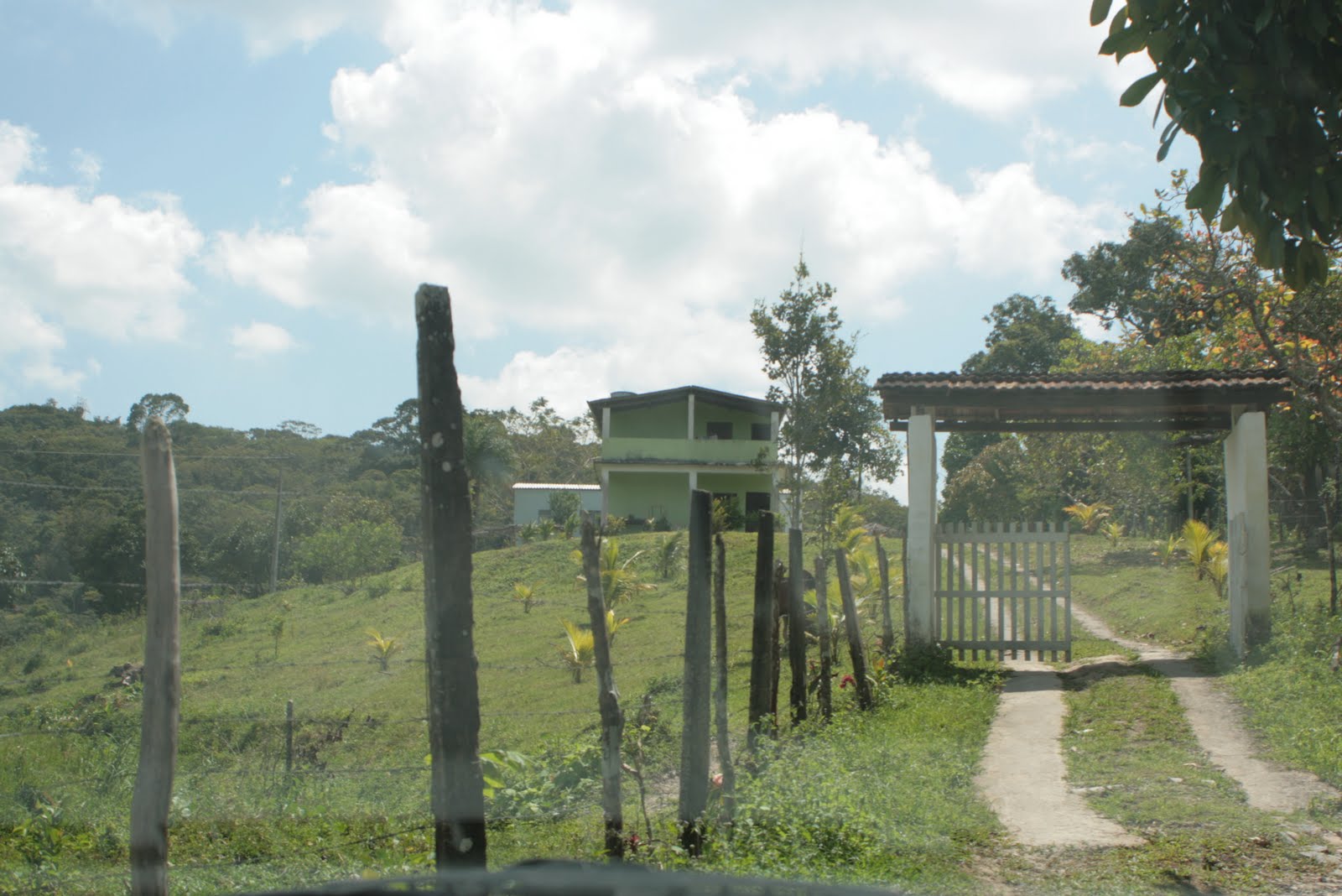 [COVA+DA+ONÇA+(9).jpg]