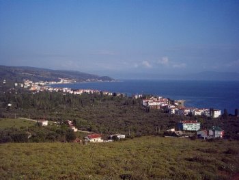 [armutlu+resim+7.jpg]