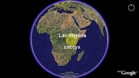 [01.coccyx+terre.jpg]