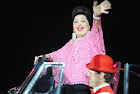 AMICI DEL CIRCO