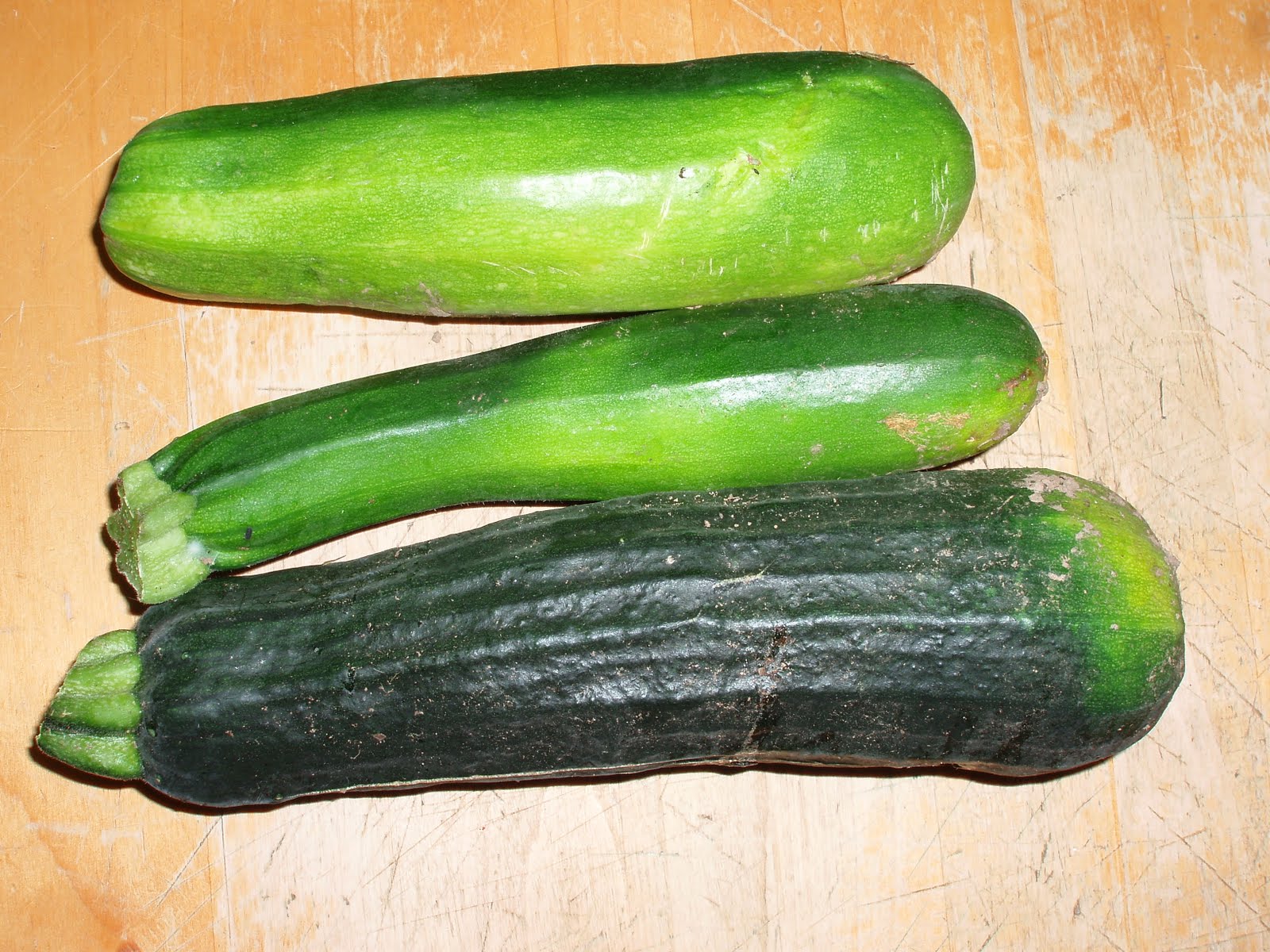 The Ramblings of Katie Jo: End of the Zucchini?