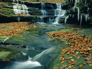 River in Autumn Nature HD Wallpaper