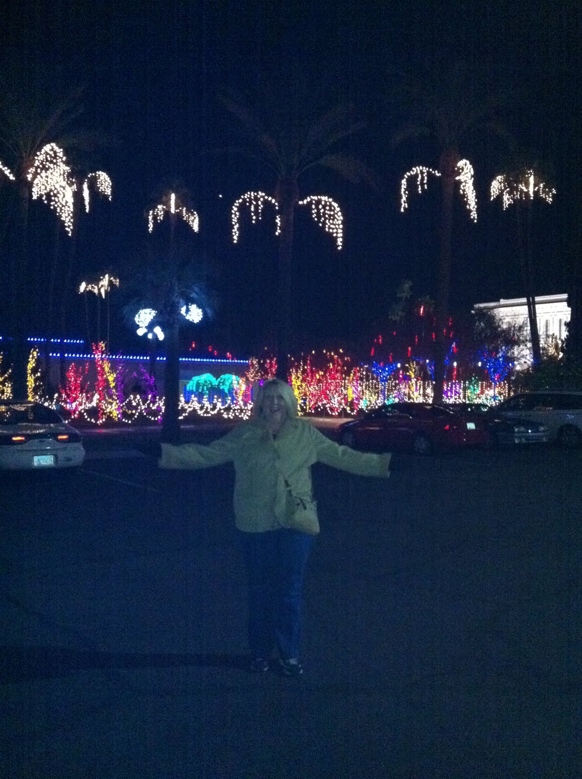 Wellington Family: NEW YEAR&#039;S IN ARIZONA