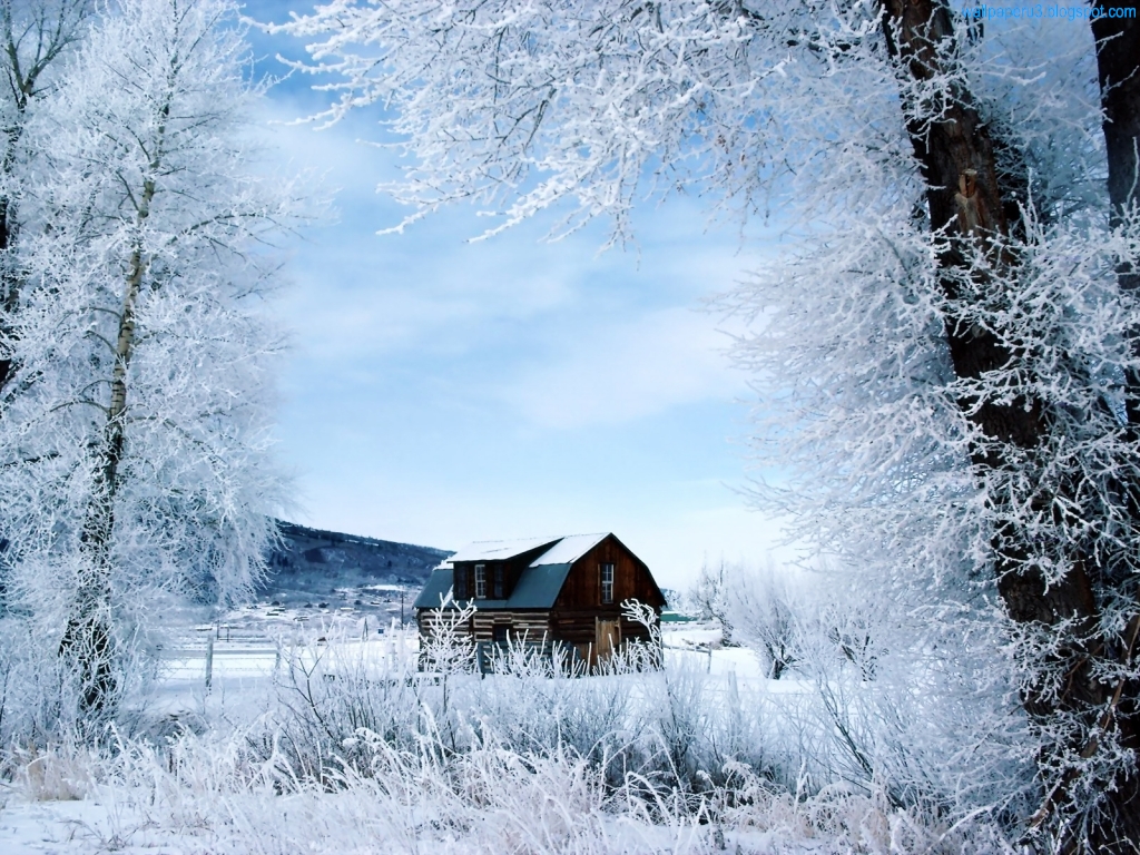 wallpaper: Winter Season Wallpapers 4