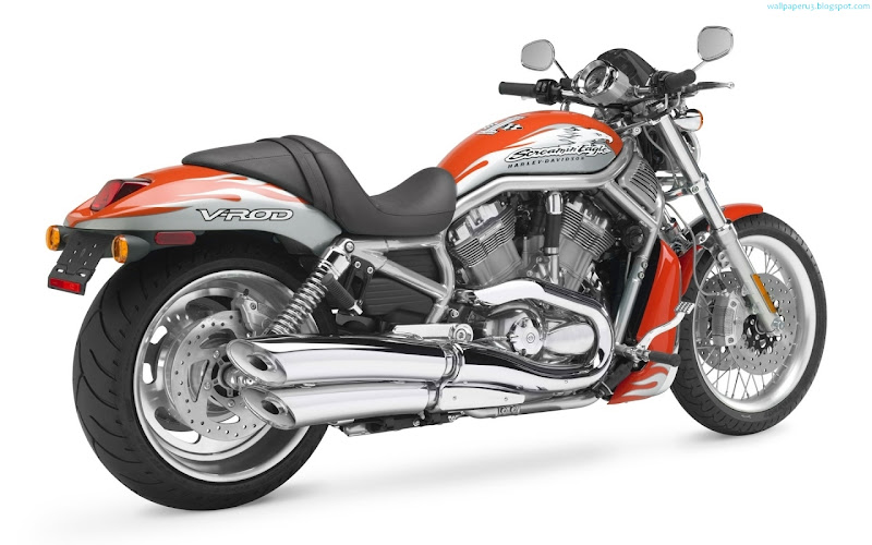 Harley Davidson Bike Widescreen Wallpaper 9