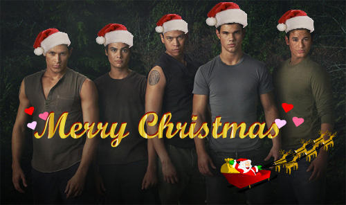 merry christmas from twilght