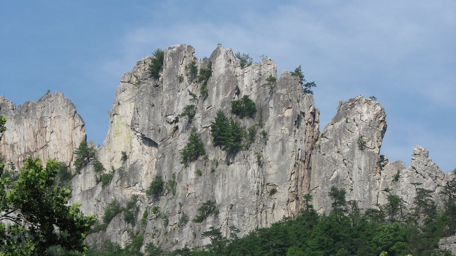Til the Last Hemlock Dies West Virginia Rock