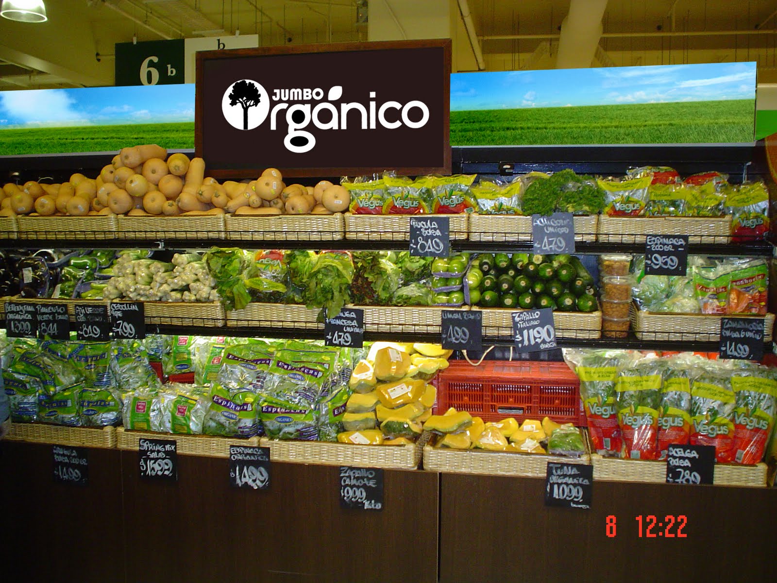 kutu diseño JUMBO ORGÁNICO