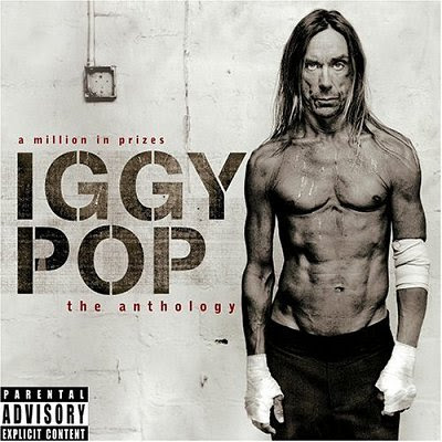 Is Iggy Pop Gay 101