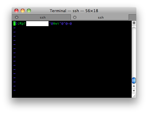 [iphone-sms-raw-vi.png]