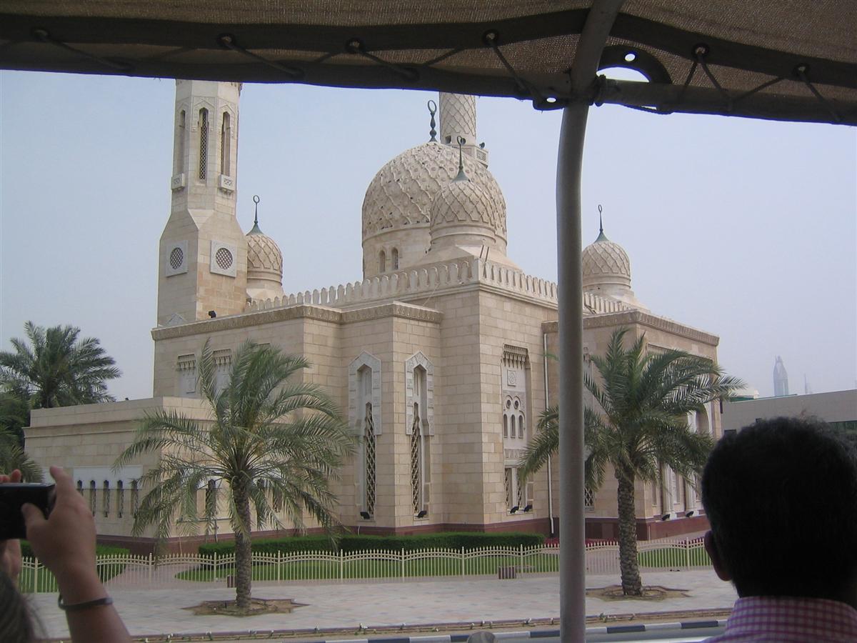 [IMG_5465-720937.JPG]