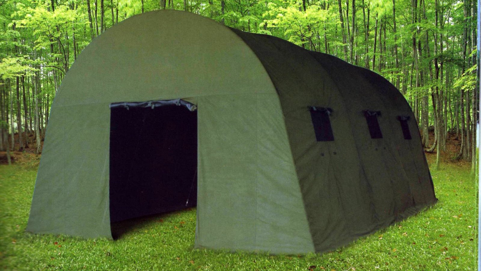 [tenda+group+oval.jpg]