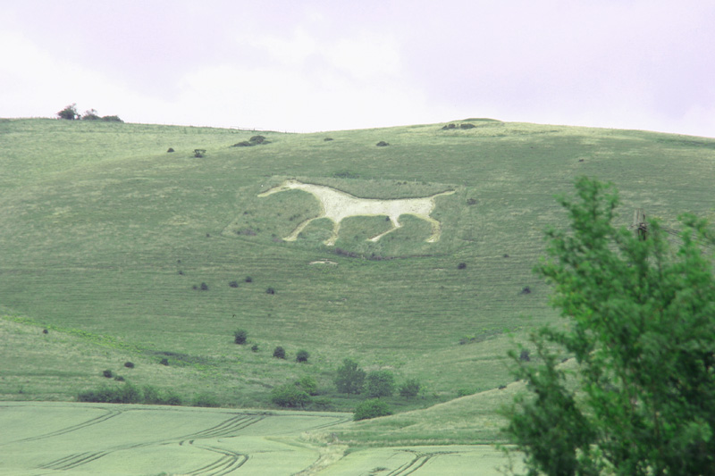 Emerald Window Chalk Horses and Sugar Skulls