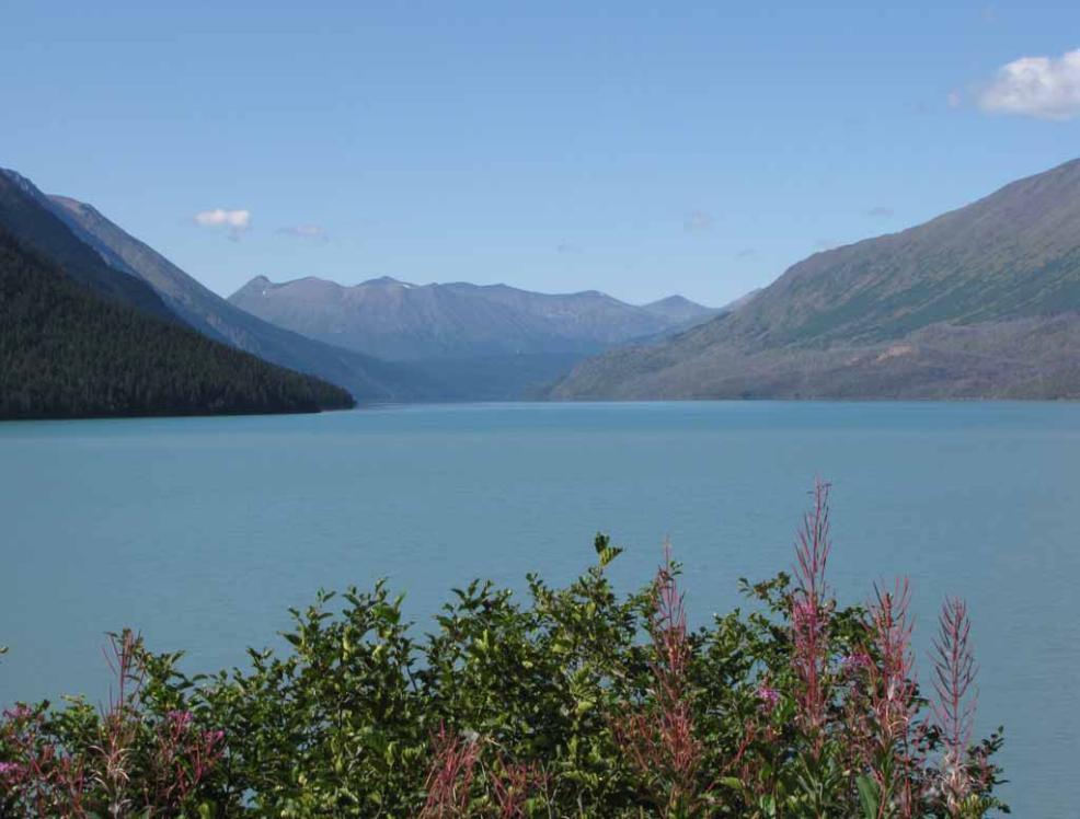 Margy's Musings to Kenai Drive from Anchorage to Kenai