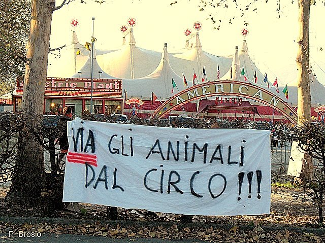 Via gli animali dal circo