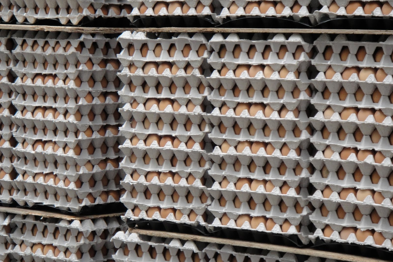 Not Just Kimchi Egg Storage Near My Apartment