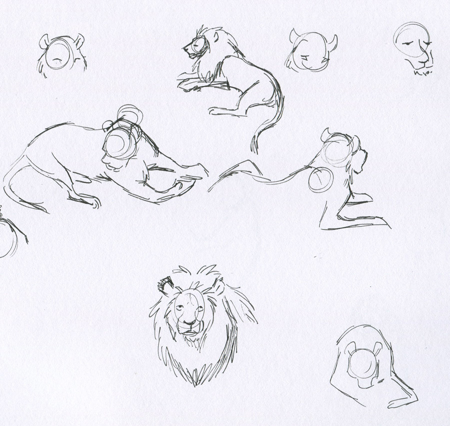 stafezariz: pictures of lions to draw