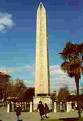 A LARGE PHALLIS IN NEW YORK