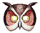 [owl.jpg]