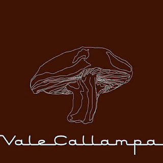 Vale_Callampa-Frontal.jpg
