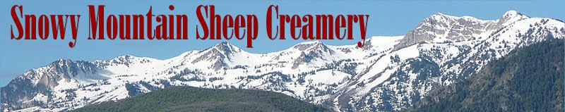 Snowy Mountain Sheep Creamery