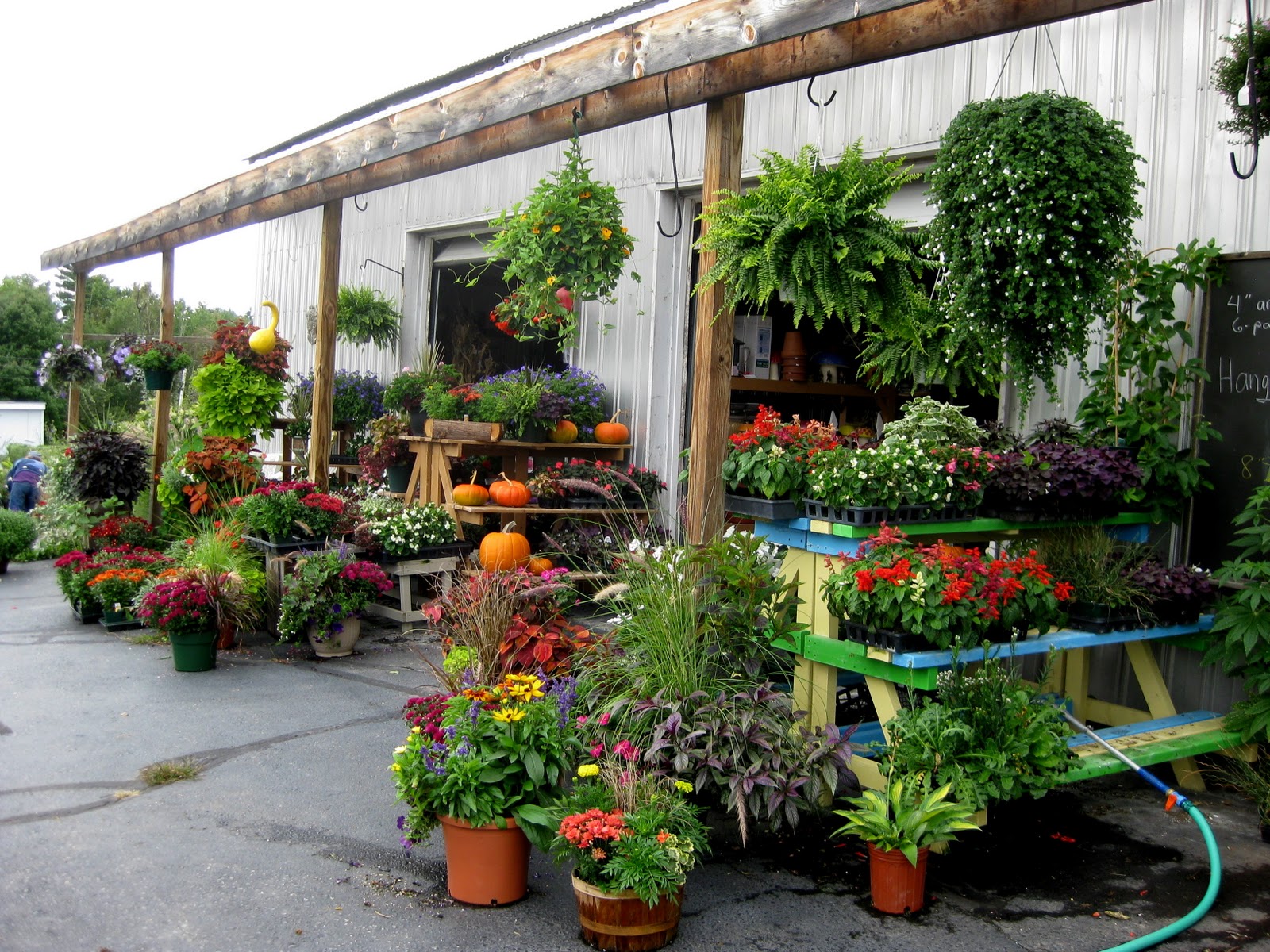 All The Latest Dirt Waterville Maine Community Garden Club Beautifies