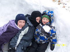 Aiden, San and Bug making a snow fort