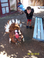 Who is the Turkey?!?!?