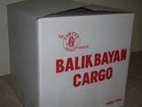 Balakbayan Cargo Box