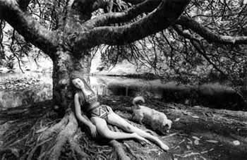 [bajoelmagnolio_ACORES2006.bmp]