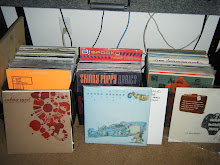 My Meager Record Collection