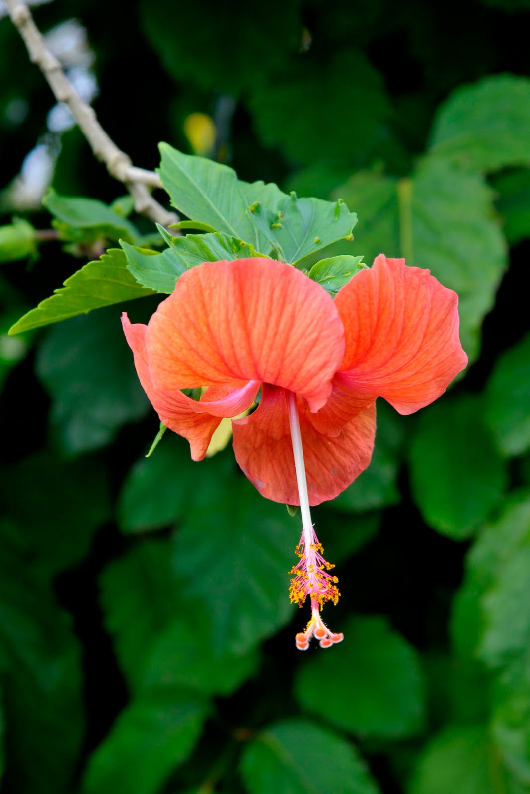 Hawaii: Beautiful Maui&hellip;Sunday, October 3, 2010