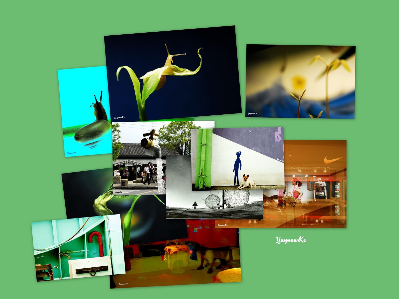 [2002.03.02~132.jpg]