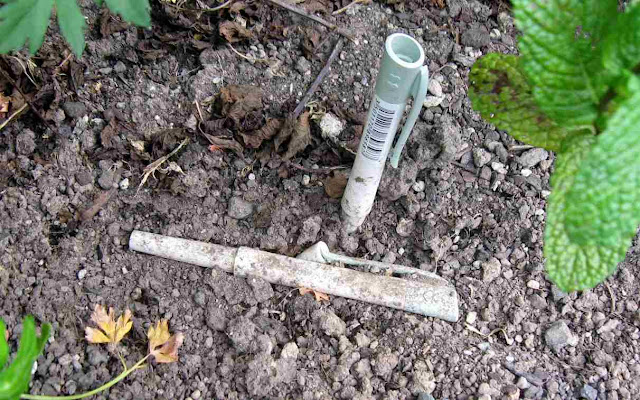 paper mate biodegradable pencil in soil