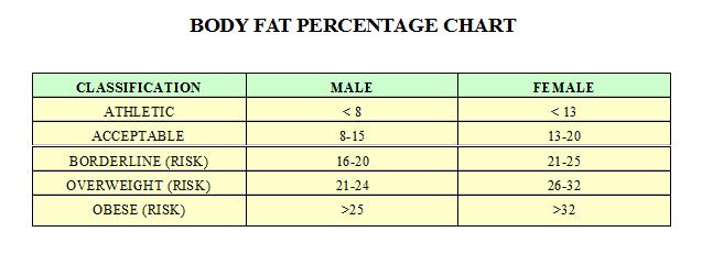 [Body+Fat+Percentage+Chart.jpg]