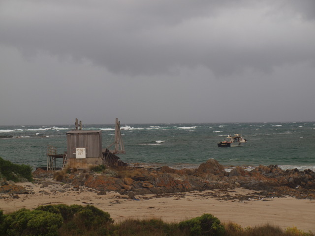 Newsomes' Dash: 23 Feb 10 - Macquarie Heads, Strahan and the West Coast