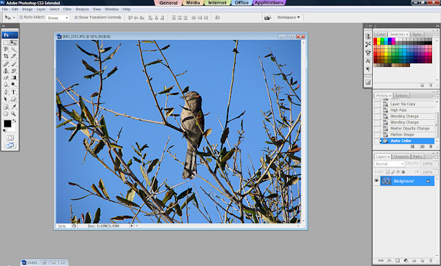 Photoshop Tutorial, How to Sharpen Your Photos, Sharp Images, Sharp Photos, Sharpened Image