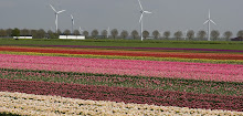 Roadside Farm