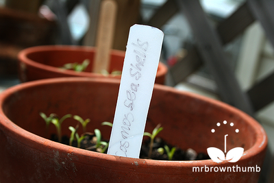 How to make homemade plant labels from recycled items