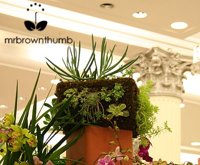 [Box+Topiary+Macy's+Flower+Show.jpg]